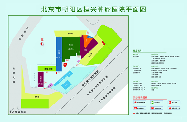 刺激日穴逼北京市朝阳区桓兴肿瘤医院平面图